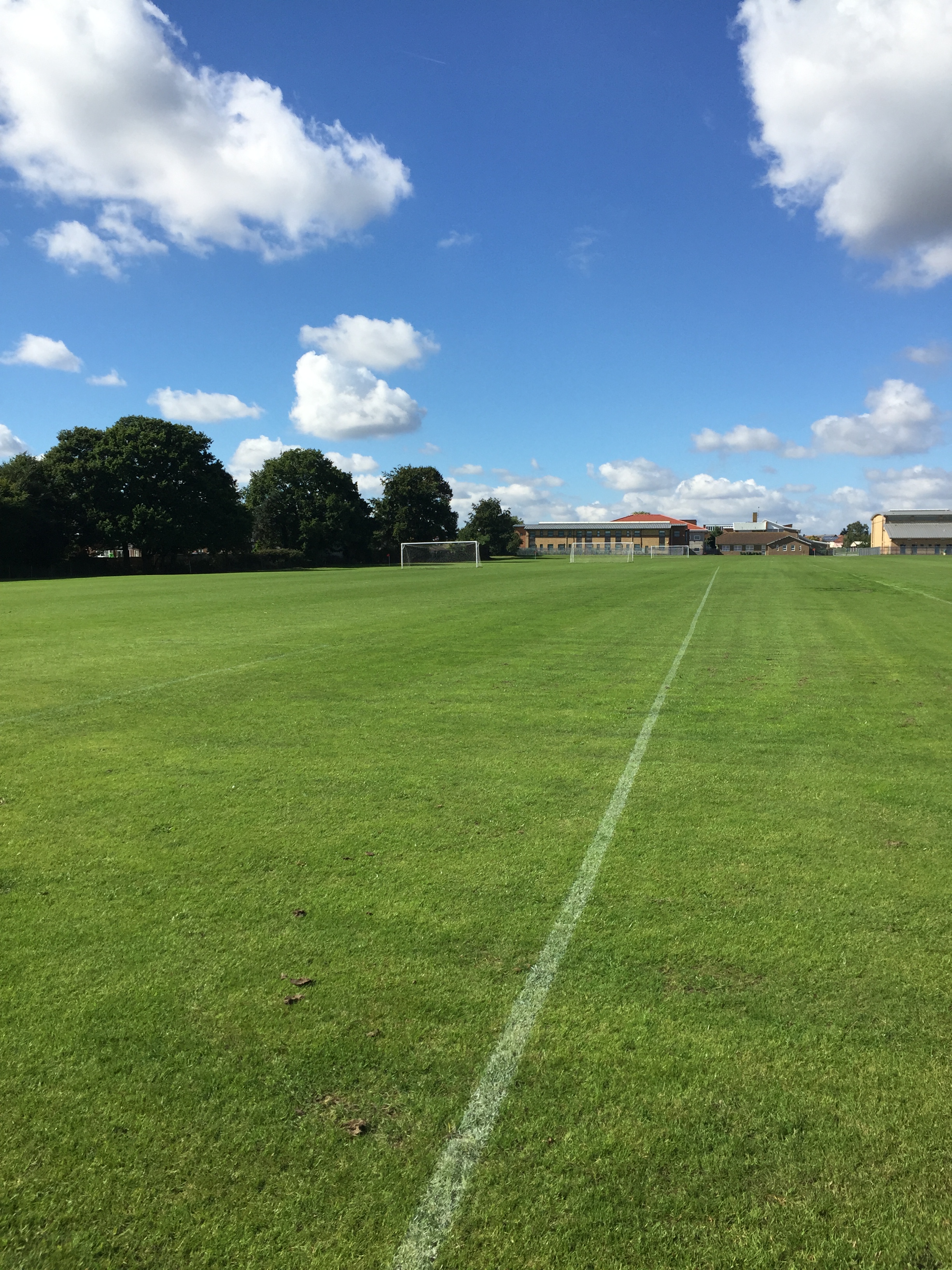 Image of the grass football pitch